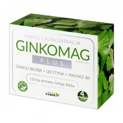 Ginkomag Plus, 120 kapsułki